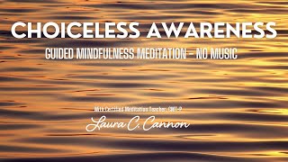 Pure Choiceless Awareness Meditation  Achieve Mental Clarity and Calm in 30 Minutes  No Music [upl. by Haibot230]