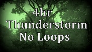 4hr Thunderstorm with No Loops quotSleep Soundsquot [upl. by Sheeran]