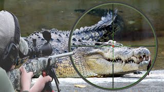 Hunting the African Nile crocodile with snipers Part Three [upl. by Huskamp]