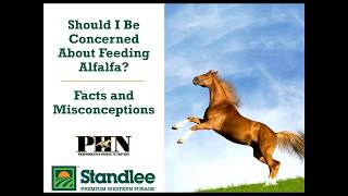 Should I Be Concerned About Feeding Alfalfa  Facts amp Misconceptions [upl. by Enneyehs624]