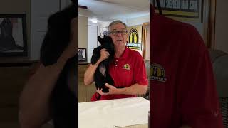 How to Control German Shepherd Puppy Biting with German Shepherd Man germanshepherdpuppytraining [upl. by Idrahs495]