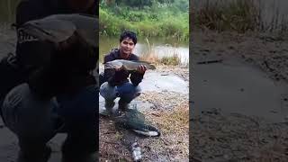 rawa yang di huni buaya pasti besar besar ikannya fishing mancing castingikangabus gabusbesar [upl. by Blodget]