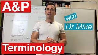 Basic terminology and concepts of Anatomy and Physiology AampP [upl. by Holna]