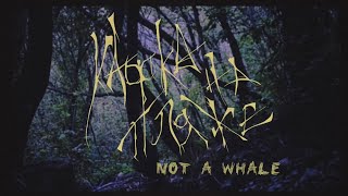 not a whale  Кафка На Пляже Official Music Video [upl. by Nerrej305]