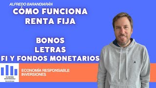 Renta fija bonos letras y fondos monetarios Explicación de cómo funcionan [upl. by Berghoff]