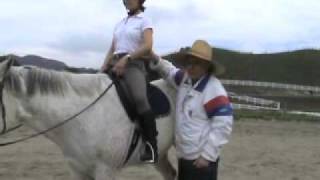 Learning to do Excellent Sitting trot on a horse [upl. by Magill]