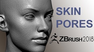 Easy Zbrush  Creating Skin Pores in Zbrush 2018 [upl. by Ferretti200]