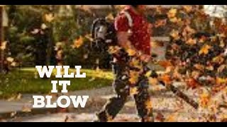 Stihl BR200 Will It Blow Your Mind shorts [upl. by Dnilazor]