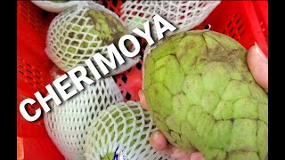 CHERIMOYA CHIRIMUYA Health Benefits Taste test and How to eat the fruit [upl. by Onoitna]