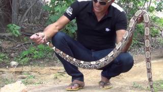 TRISTE VIDEO DO REI DAS SERPENTES [upl. by Gaul600]