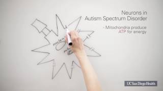 Autism Spectrum Disorder The Cell Danger Response [upl. by Alexandre]