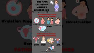 The main causes of womens leucorrhea [upl. by Eladnwahs]