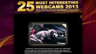 25 Most Interesting Webcams of 2013 [upl. by Thomajan21]