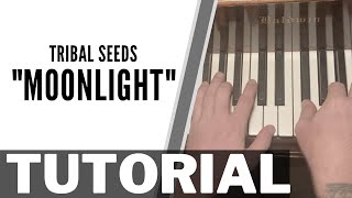 How to play quotMoonlightquot by Tribal Seeds [upl. by Eniamret891]