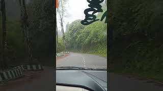 Roads with pine trees  mirik northbengal drive trip roadwise nature forest [upl. by Eliathan]