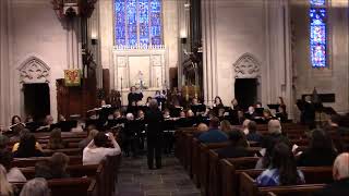 Flight of the Bumblebee by RimskyKorsakov arr Nancy Nourse  Michigan Flute Orchestra [upl. by Maiah220]