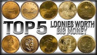 TOP 5 Most Valuable Loonies in Circulation  Canadian Dollar Coins Worth BIG MONEY [upl. by Tilford154]