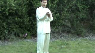 Jesse Tsao Repulse Monkey in Wu Tai Chi [upl. by Ambie]