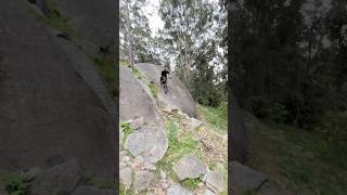 Lysterfield rock roll mountainbike mtb [upl. by Herbie757]