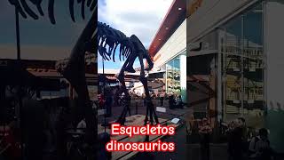 Esqueletos de dinosaurios en Titán plaza godzilla colombia dinosaurios jurassicworld titan [upl. by Adeline65]