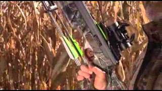 Meet Excalibur Crossbows  Presented By TheCrossbowStorecom [upl. by Vance407]