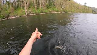 Fly Fishing the Housatonic River in Cornwall CT NYMPHING W an Indicator [upl. by Yila]