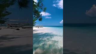 Living in a secluded Island in the Philippines vacation travel island youtubeshorts shortvideo [upl. by Zalea292]