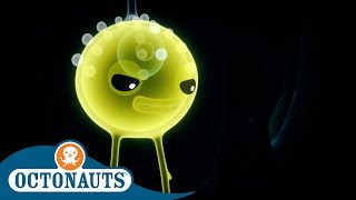 Octonauts  Attacked by Siphonophore  Cartoons for Kids  Underwater Sea Education [upl. by Everrs]