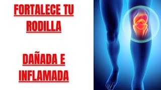 🦵FORTALECE tu RODILLA INFLAMADA❌ y con LÍQUIDO ✅HAZLO SENTADO y en 10 MINUTOS🕒 [upl. by Germin]