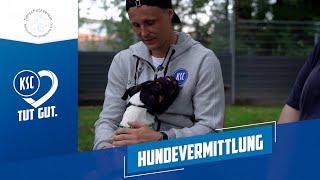 KSC TUT GUT  Hundevermittlung [upl. by Nevak794]